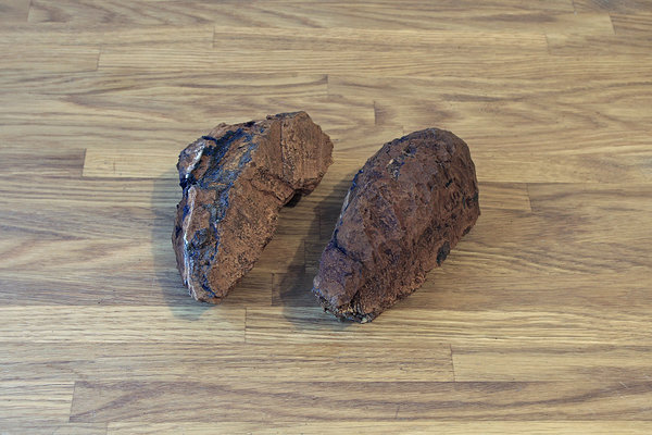 Koorest puhastatud must pässik. Koorest puhastatud must pässik