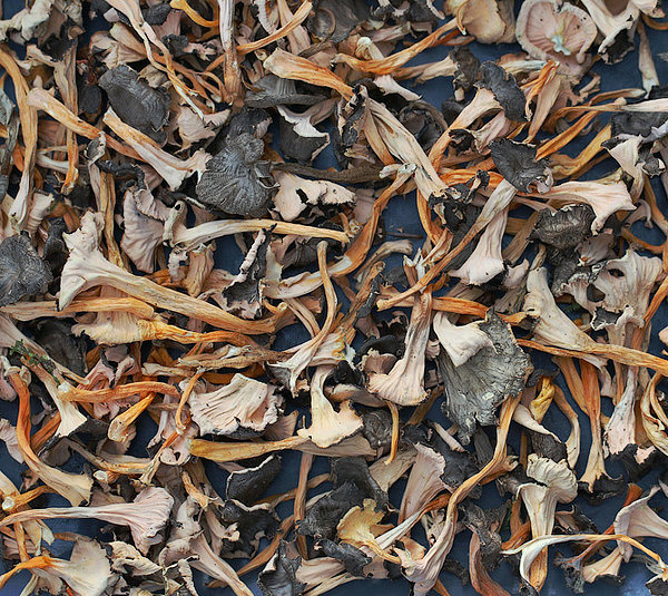 kuivatatud kollakad kukeseened