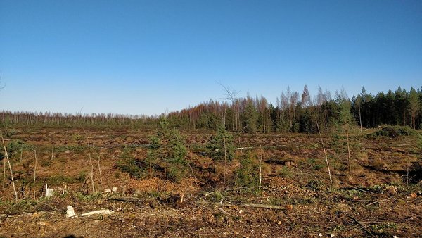 Foto tehtud tööde alalt