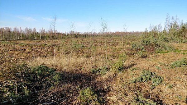 Foto tehtud tööde alalt