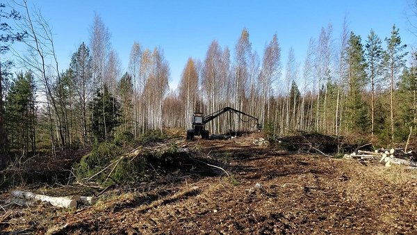 Foto tehtud tööde alalt