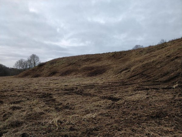 Võsast ja metsistunudu kibuvitsapõõsastest puhastatud nõlv