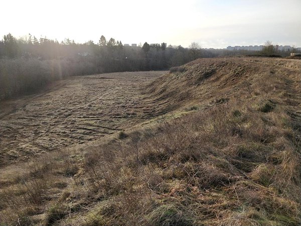 Võsast ja metsistunudu kibuvitsapõõsastest puhastatud nõlv ülevalt vaadates